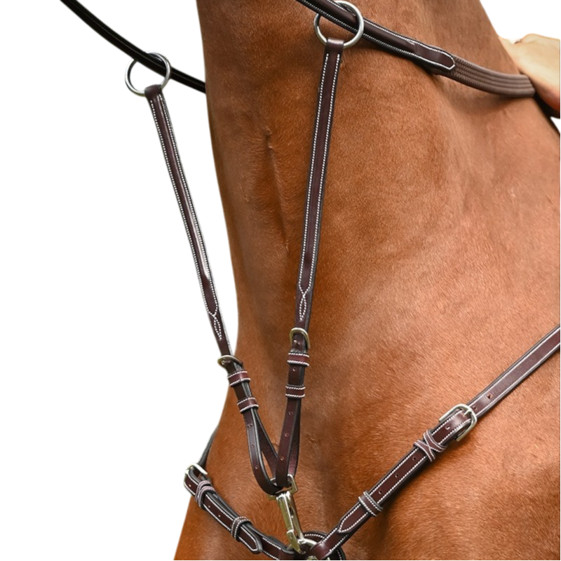 Jump'In - Martingale de collier monday et tuesday havane | - Ohlala