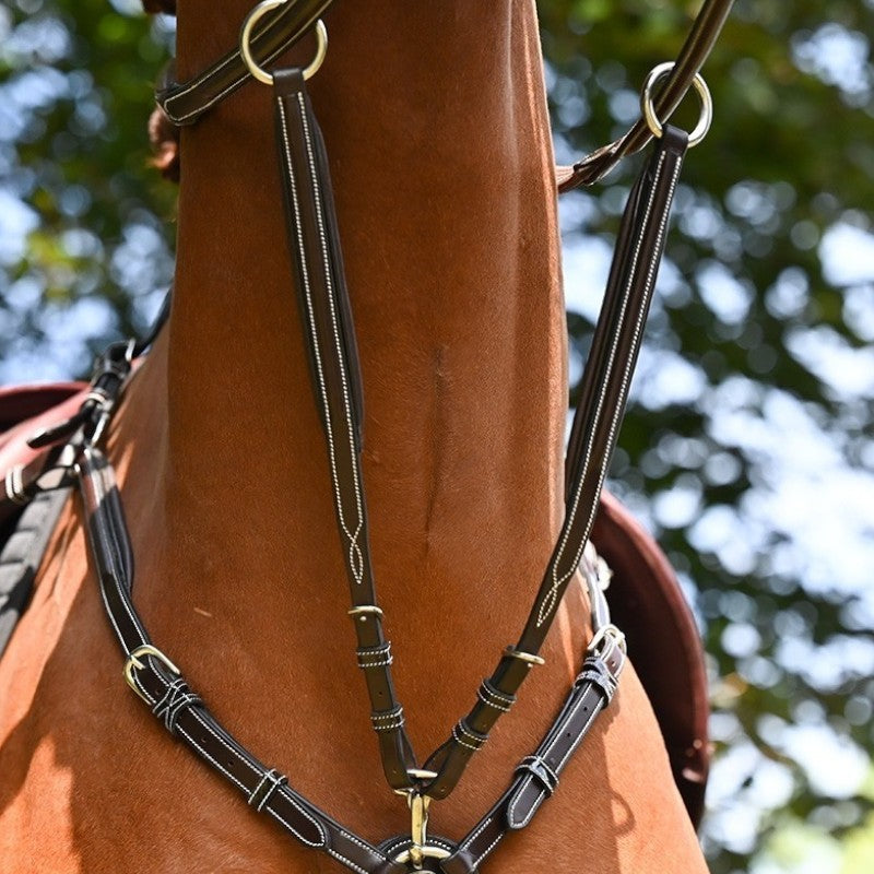 Jump'In - Wednesday standing martingale with black crystal | - Ohlala