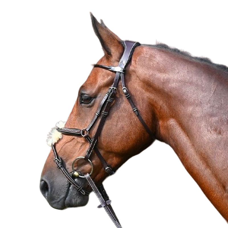 Jump'In - Wednesday bridle crossed noseband havana | - Ohlala