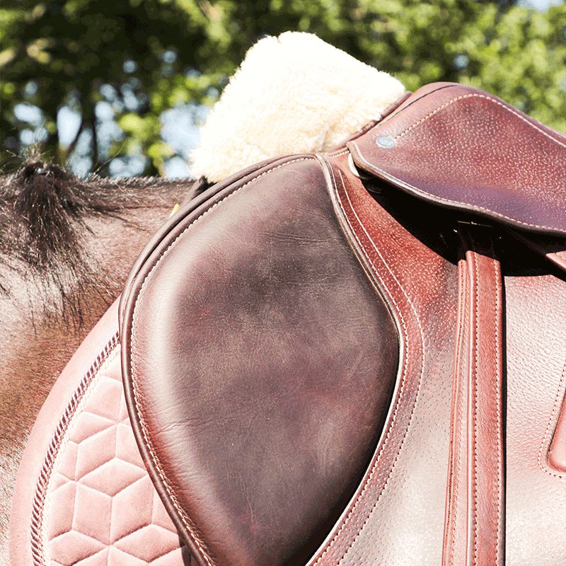 Kentucky Horsewear - アナトミックアブソーブシープスキンパッド ホワイト | - Ohlala
