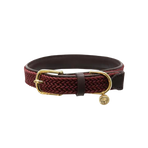 Kentucky Dogwear - Colliers pour chiens bordeaux | - Ohlala