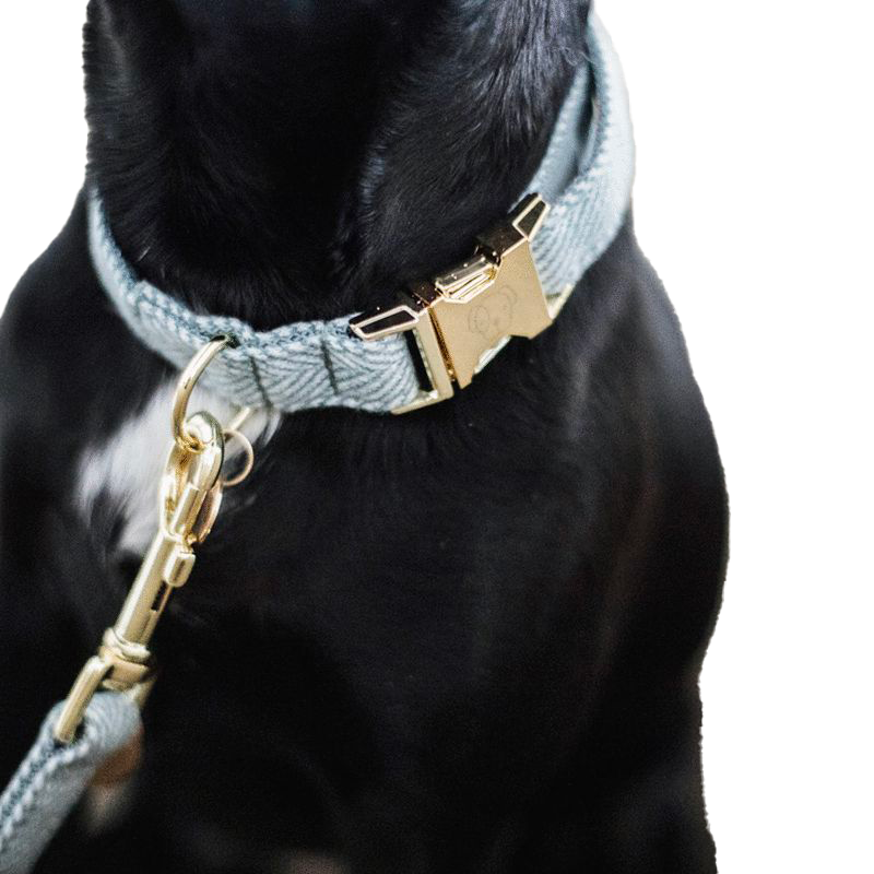 Kentucky Dogwear - Wool dog collar light blue | - Ohlala