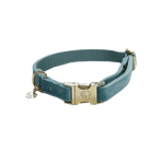 Kentucky Dogwear - Colliers pour chiens Velvet Bleu ciel | - Ohlala