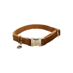 Kentucky Dogwear - Colliers pour chiens Velvet Moutarde | - Ohlala