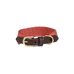 Kentucky Dogwear - Terracotta Jacquard Dog Collar | - Ohlala