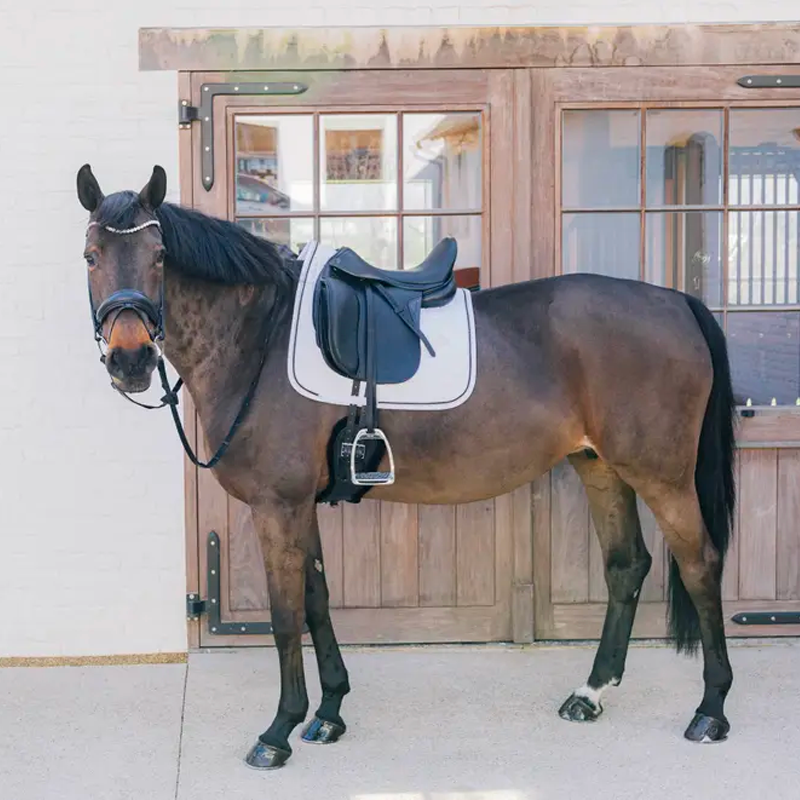 Kentucky Horsewear - Sudadero de doma Metal Chain blanco | - Ohlala