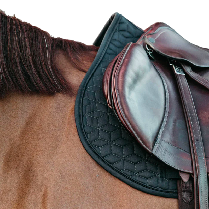 Kentucky Horsewear - Sudadero Basic gris antracita | - Ohlala