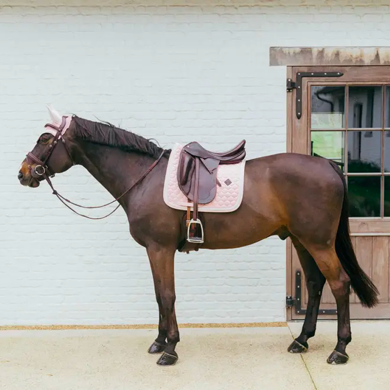 Kentucky Horsewear - Plaited Cord Pale Pink Dressage Pad | - Ohlala