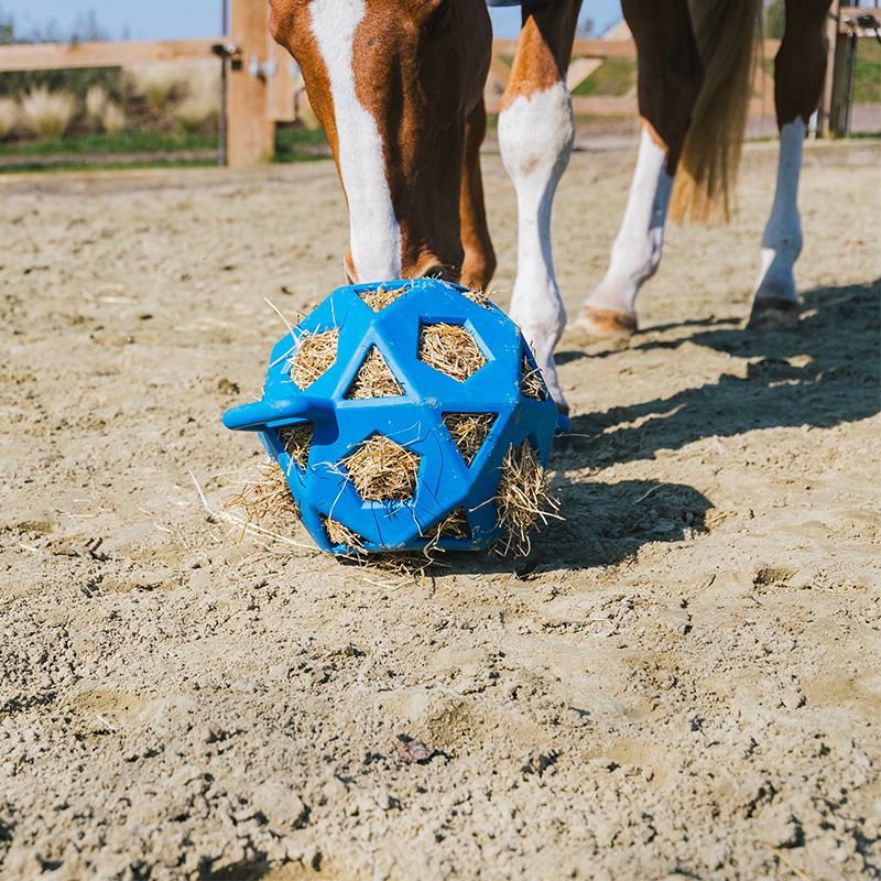 Kentucky Horsewear - Royal blue toy ball / hay ball | - Ohlala