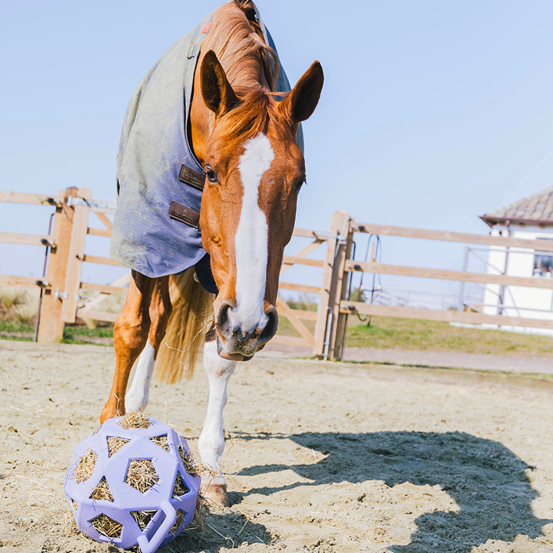 Kentucky Horsewear - Speel- en hooibal lavendel | - Ohlala