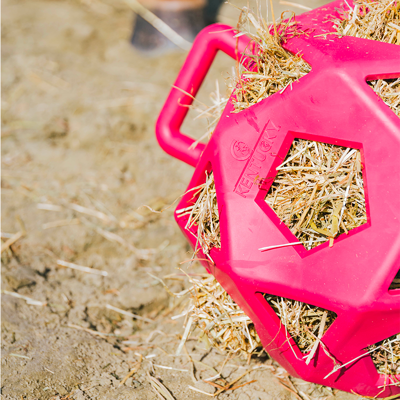 Kentucky Horsewear - Speelbal / hooibal roze | - Ohlala