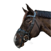 Kentucky Horsewear - Fly mask | - Ohlala