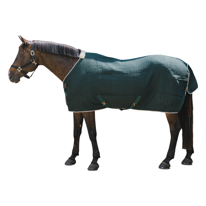 Kentucky Horsewear - ダークグリーン Protherm クーリングシート | - Ohlala