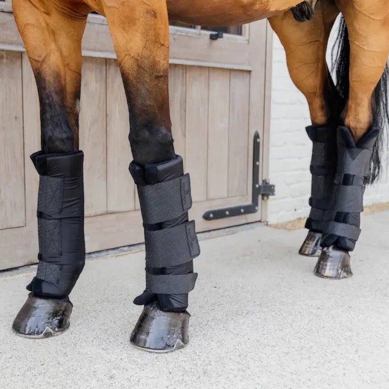 Kentucky Horsewear - Protect Classic stable boots front legs black (x2) | - Ohlala