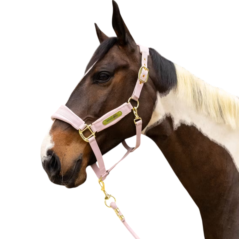 Kentucky Horsewear - Licol Velvet rose poudré
