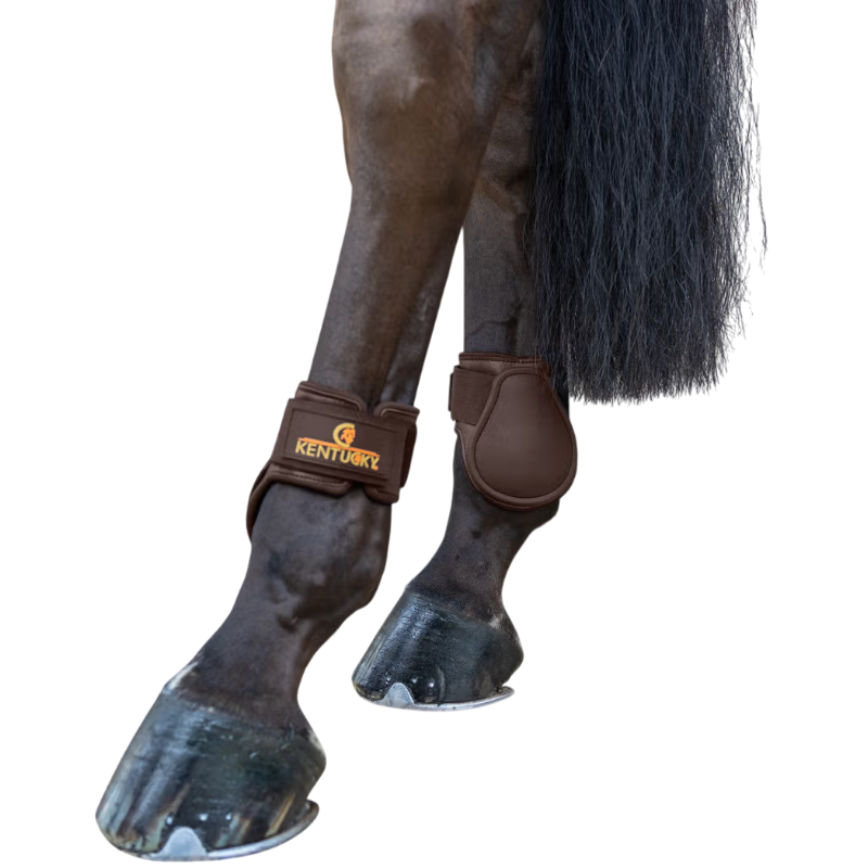 Kentucky Horsewear - Young Horse Classic Fetlock Boots Brown
