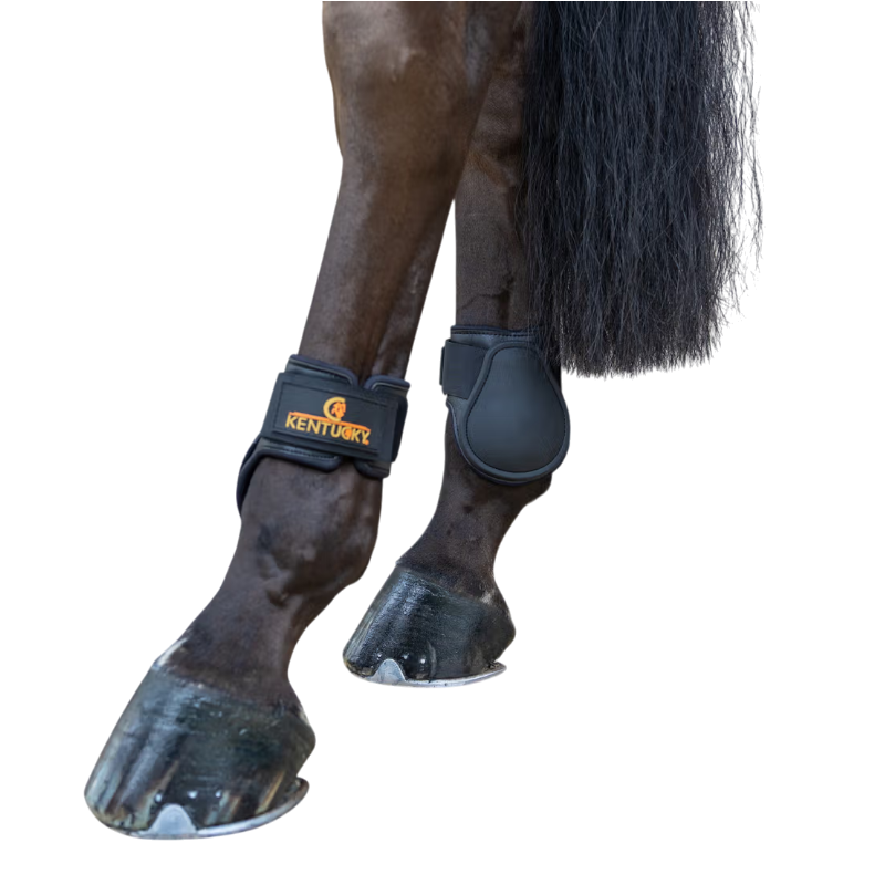 Kentucky Horsewear - Young Horse Classic Fetlock Boots Black