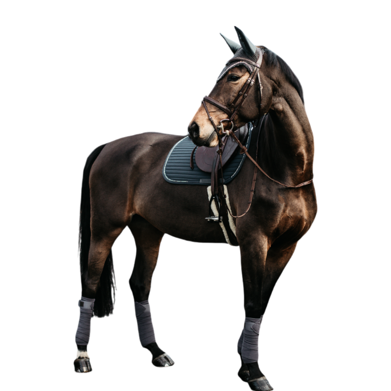 Kentucky Horsewear - ショー ヴィーガンウール フリース ポロラップ グレー (x4) | - Ohlala