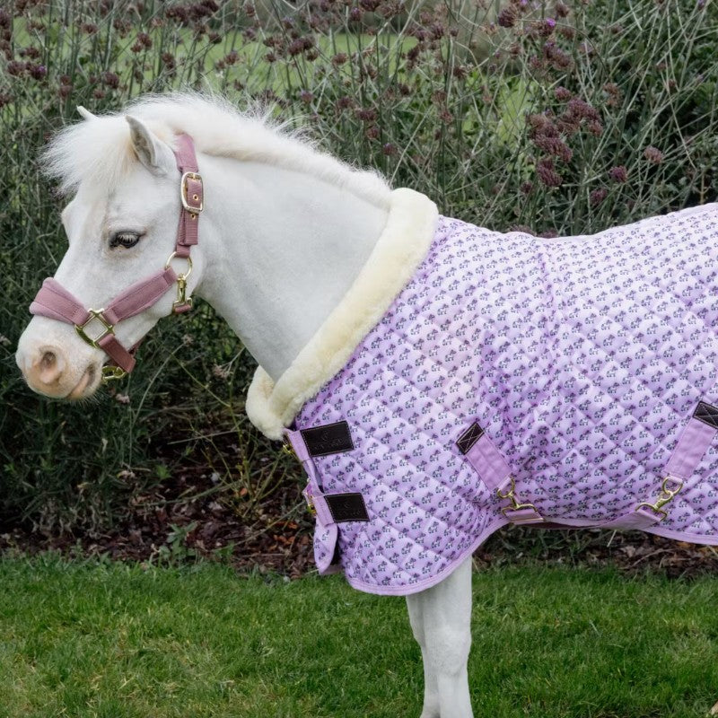 Kentucky Horsewear - Sammy Collection presentation rug dusty pink 160g | - Ohlala