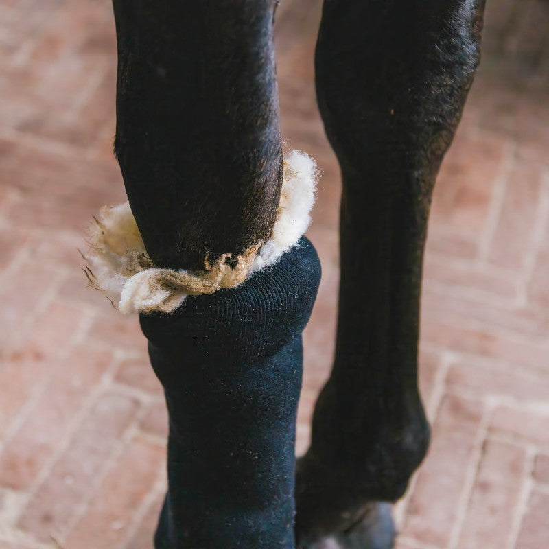 Grooming Deluxe - Therapeutic Wool | - Ohlala