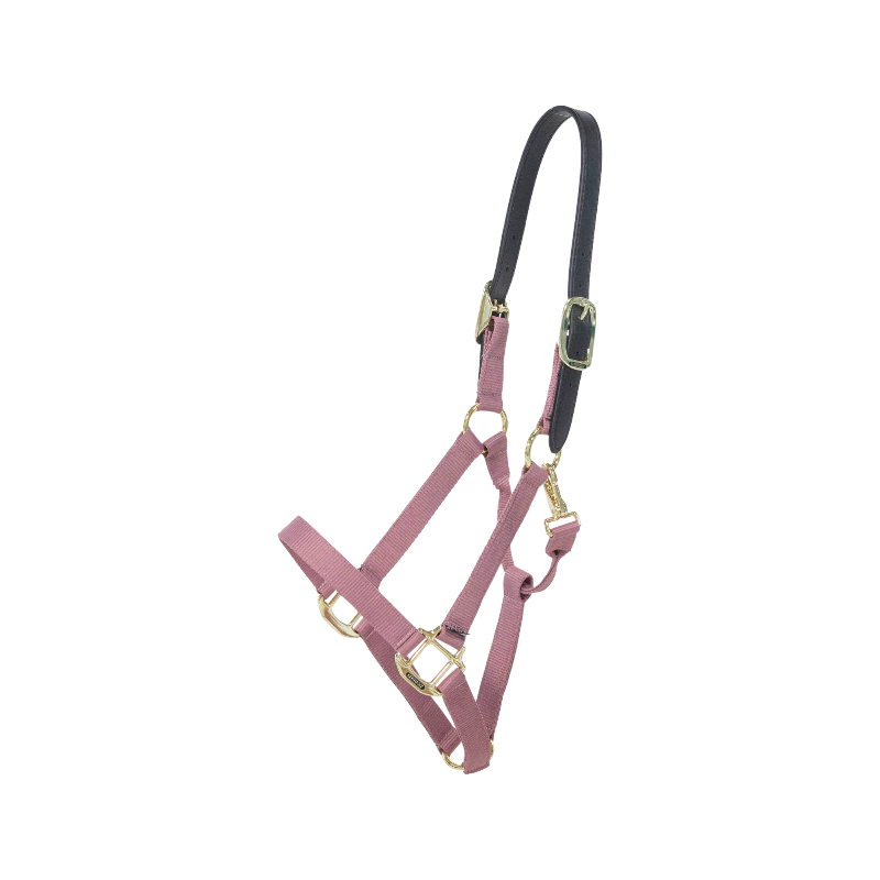 Kentucky Horsewear - Nylon-Halfter Breakaway altrosa | - Ohlala