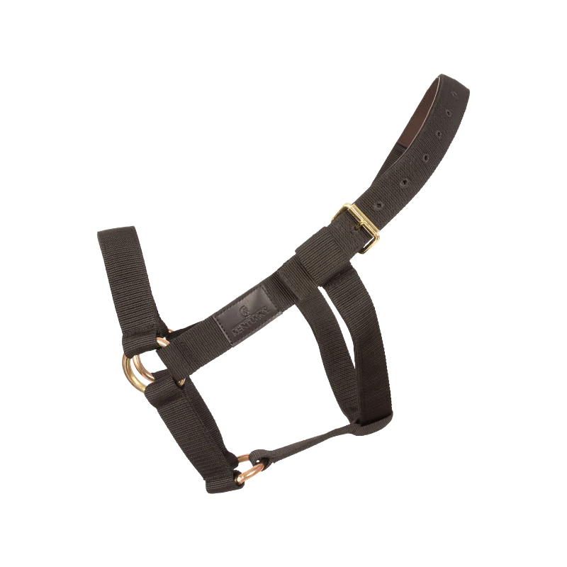 Kentucky Horsewear - Black Heavy Duty Halter