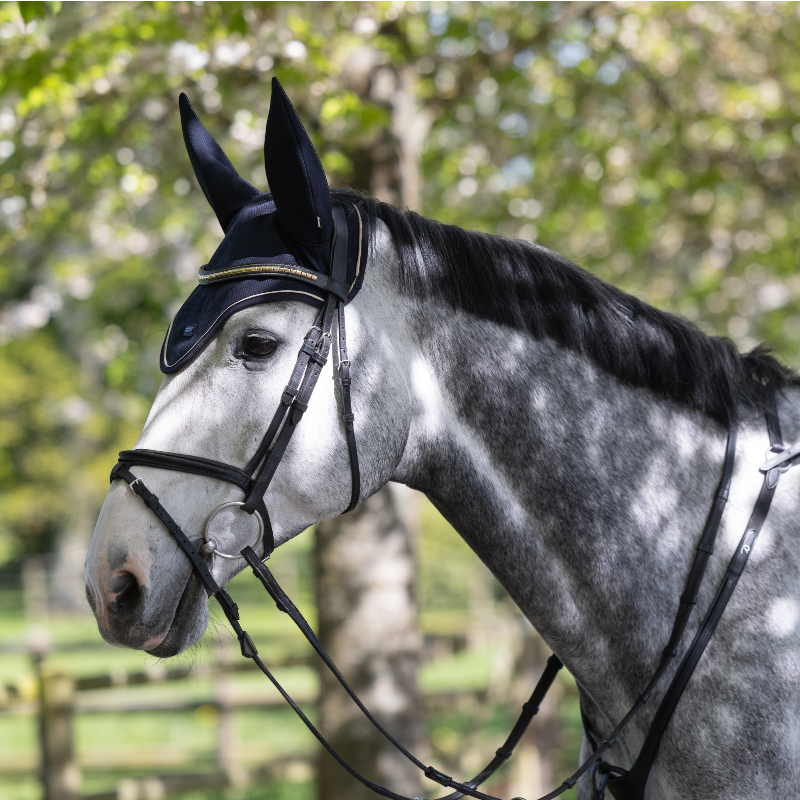 Kingsland - Bonnet pour chevaux KLLucca Cooling marine | - Ohlala