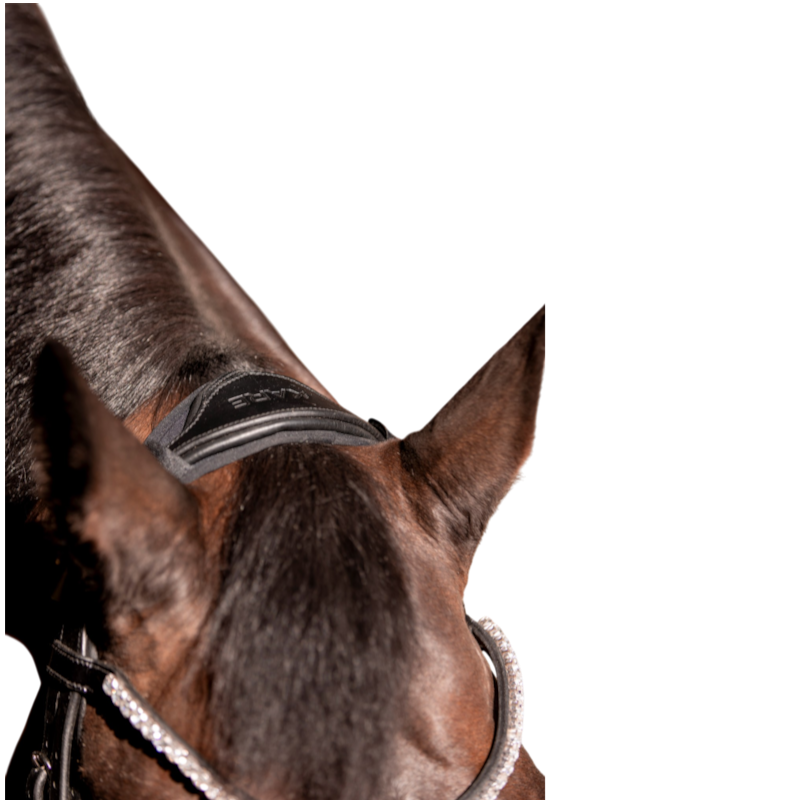 K By Equithème - Black Anatomical Headpiece Pad