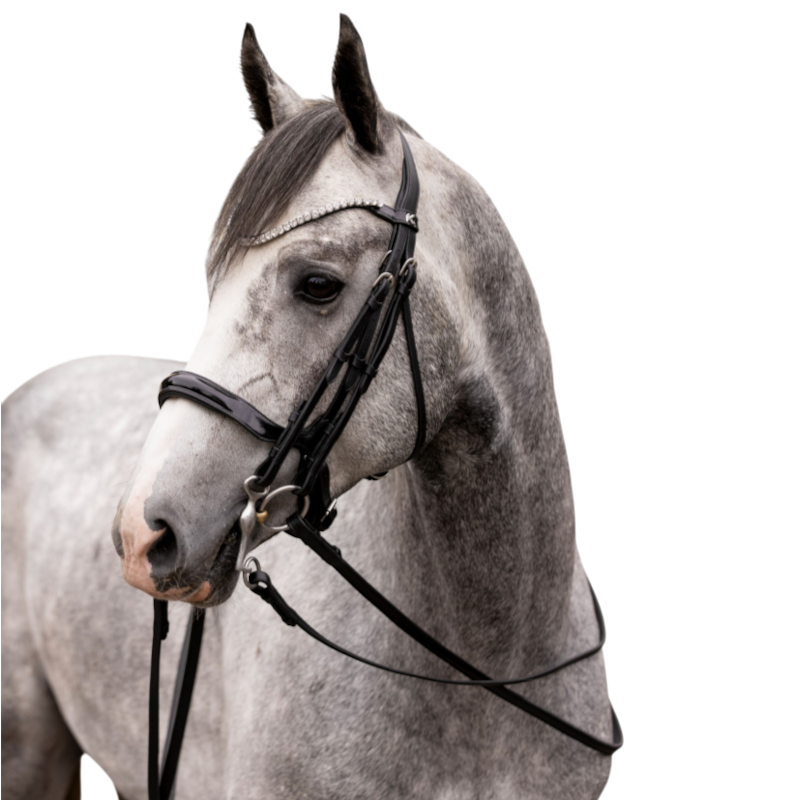 K By Equithème - K-LINK black smooth leather reins