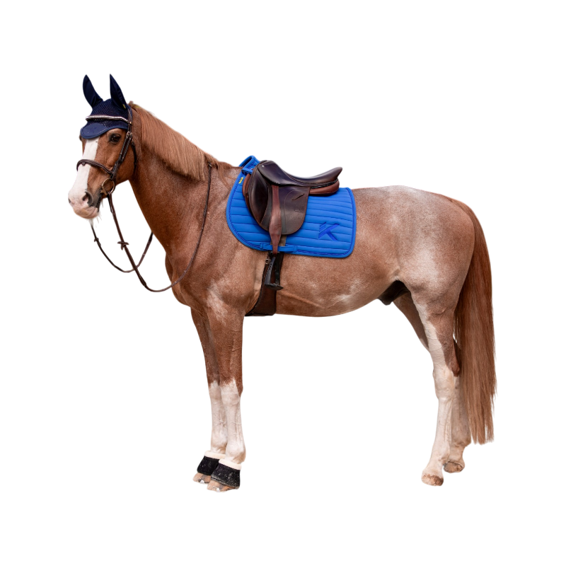 K By Equithème - K-CESAR royal blue saddle pad