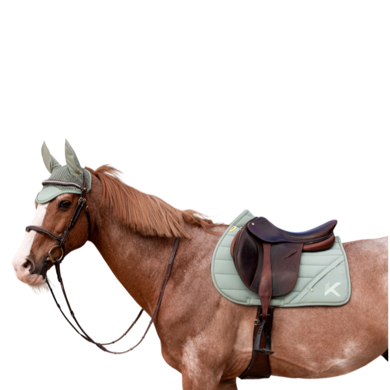 K By Equithème - Bonnet pour chevaux K-VEGA vert foncé