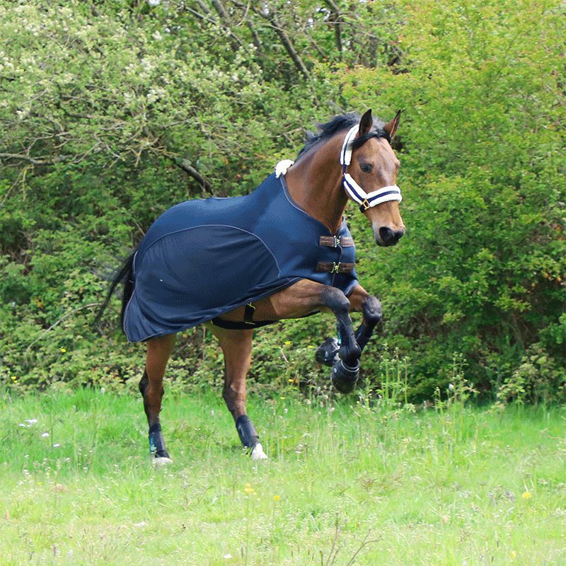 Kentucky Horsewear - Mesh Combo Sheet Navy | - Ohlala
