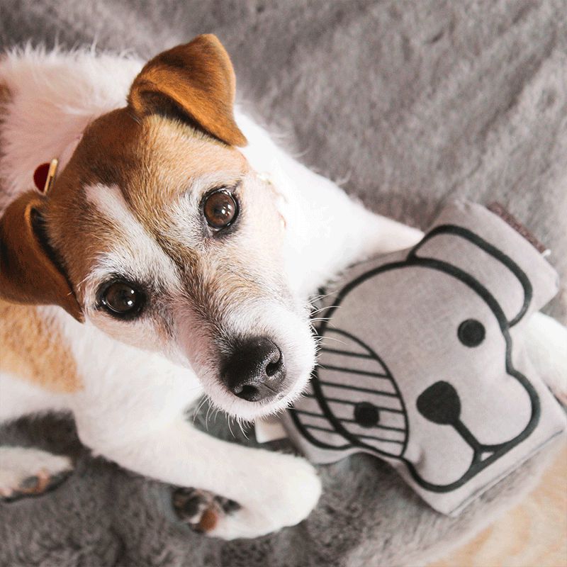 Kentucky Dogwear - Hundespielzeug | - Ohlala