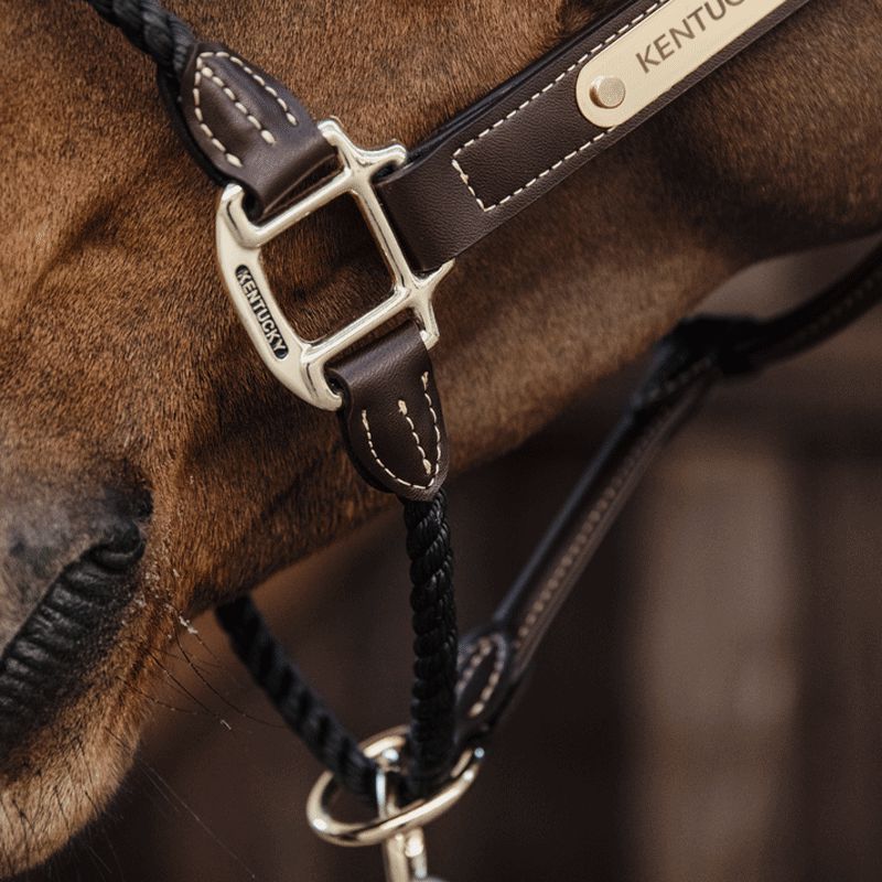 Kentucky - Rope Halter | - Ohlala
