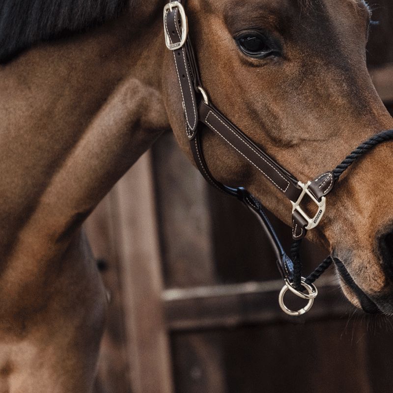 Kentucky - Rope Halter | - Ohlala