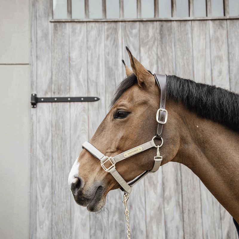Kentucky Horsewear - Cavezza anatomica in nylon beige | - Ohlala