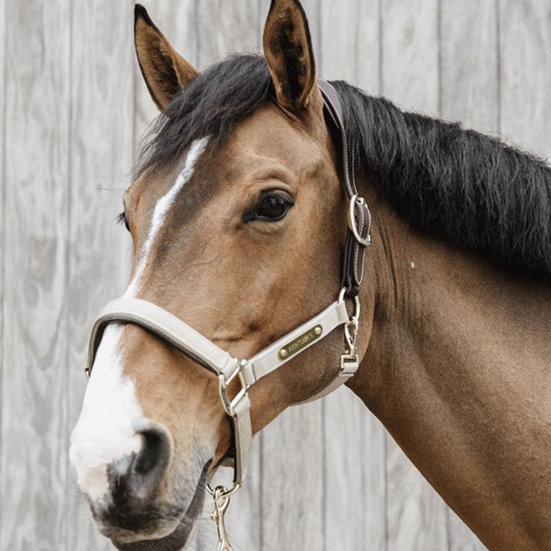 Kentucky Horsewear - Cavezza anatomica in nylon beige | - Ohlala