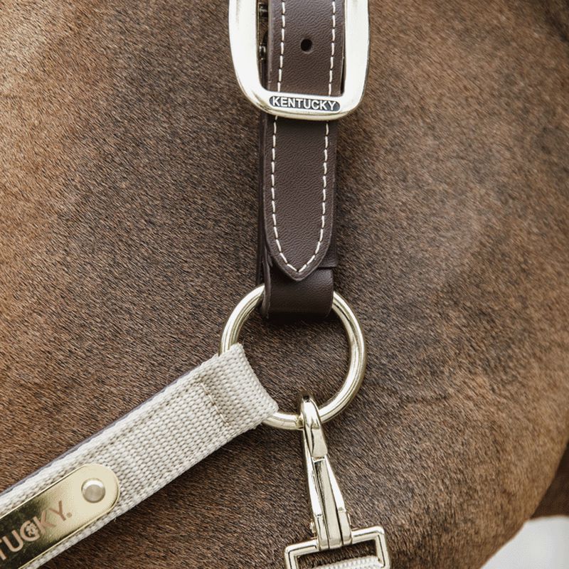Kentucky Horsewear - Cavezza anatomica in nylon beige | - Ohlala