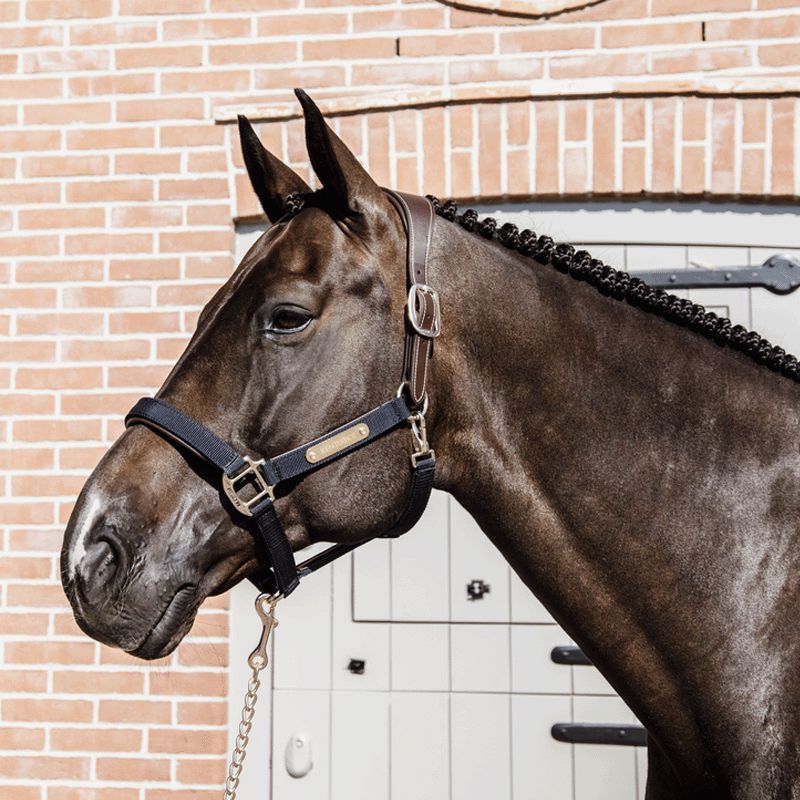 Kentucky Horsewear - Anatomic nylon halter navy | - Ohlala