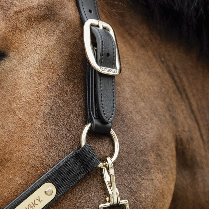 Kentucky Horsewear - Cavezza anatomica in nylon nera | - Ohlala