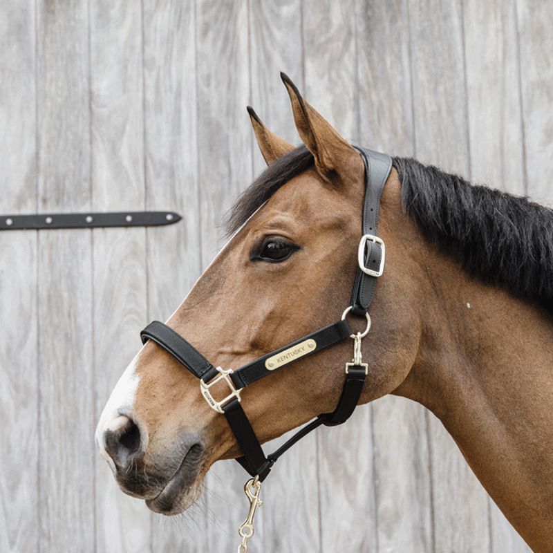 Kentucky Horsewear - Cavezza anatomica in nylon nera | - Ohlala