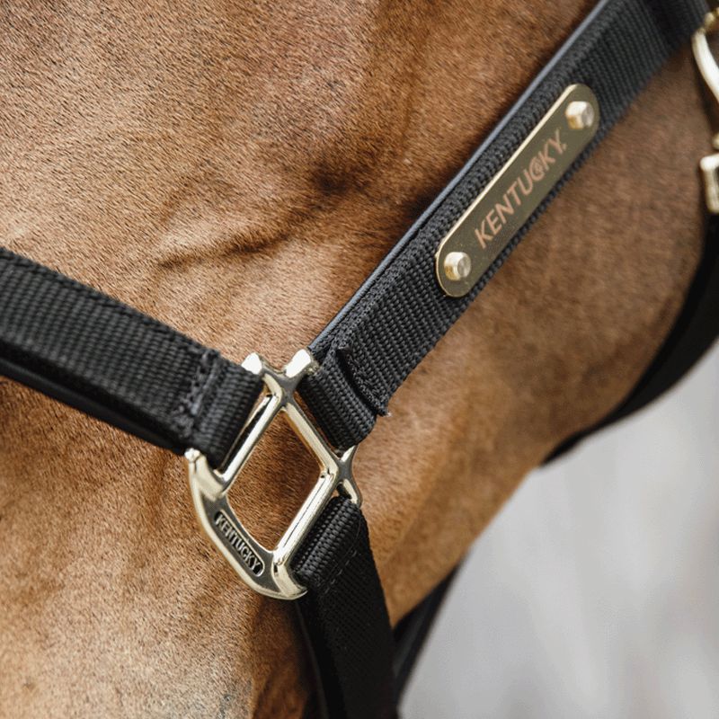 Kentucky Horsewear - Cavezza anatomica in nylon nera | - Ohlala