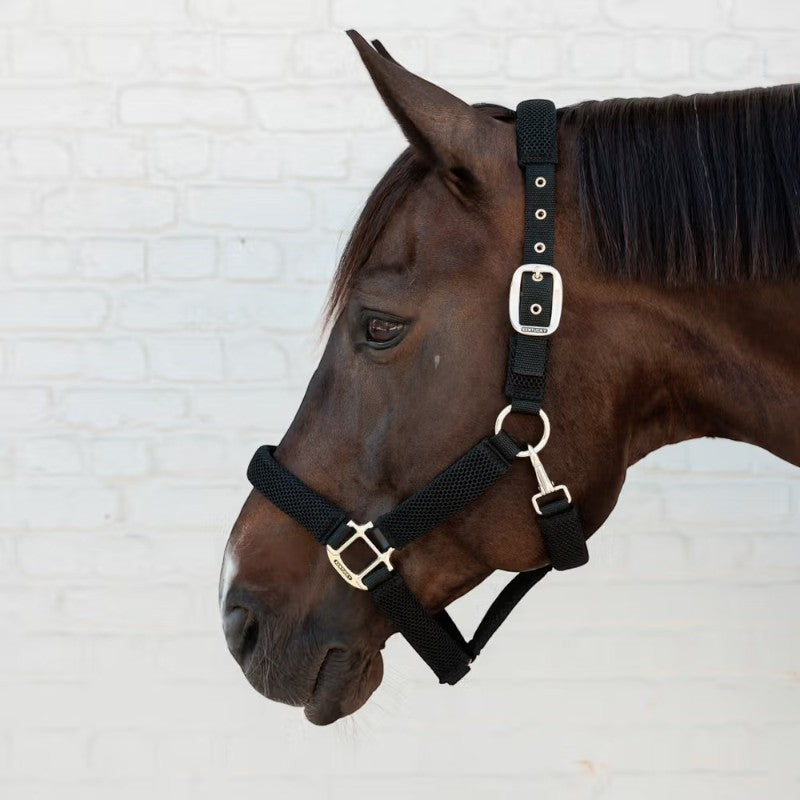 Kentucky Horsewear - Halter black | - Ohlala