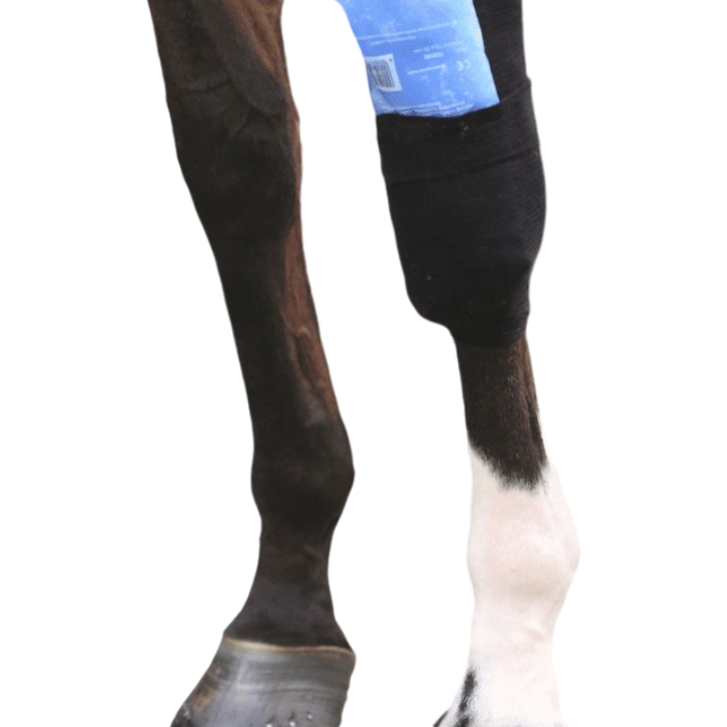 Kentucky Horsewear - Bandaż ścięgnowy Grip (x1) | - Ohlala