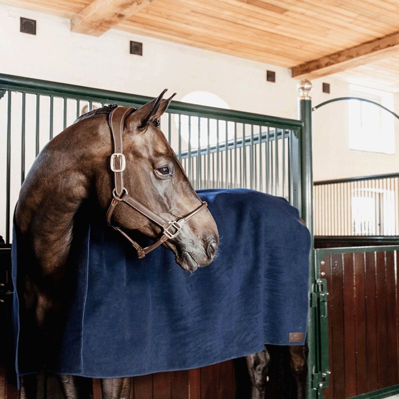 Kentucky Horsewear - Derka osuszająca carré heavy granatowa | - Ohlala