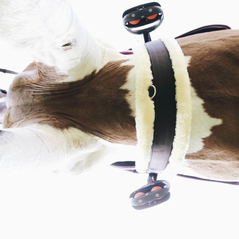 Kentucky Horsewear - Sottopancia in montone | - Ohlala
