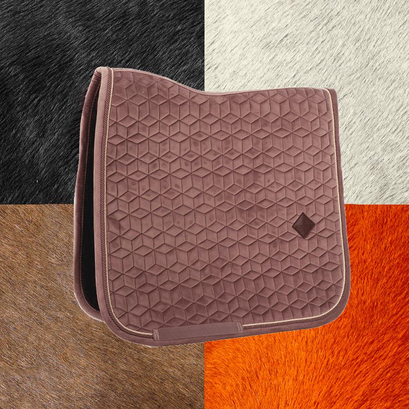 Kentucky Horsewear - Velvet Parme dressagezadeldek | - Ohlala