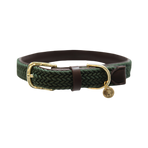 Kentucky Dogwear - Colliers pour chiens vert olive | - Ohlala