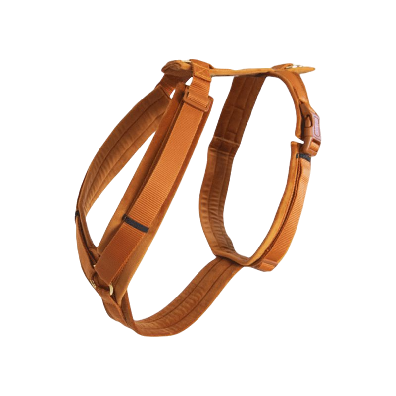 Kentucky Dogwear - Harnais pour chien actif velvet orange | - Ohlala
