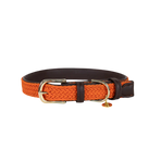 Kentucky Dogwear - Gevlochten nylon hondenhalsband oranje | - Ohlala